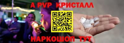 амф Гатчина