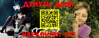 амф Гатчина