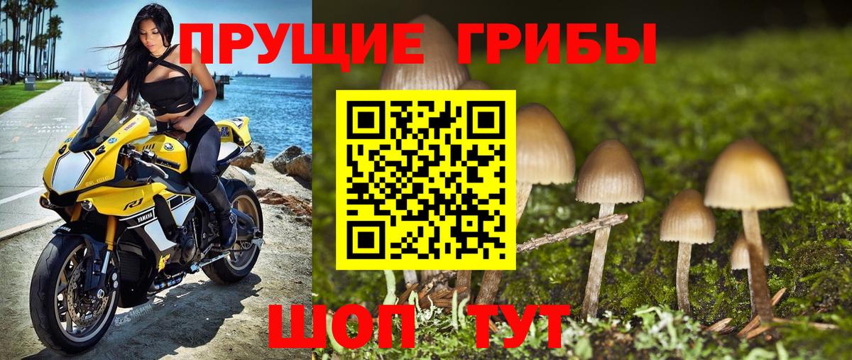 Галлюциногенные грибы GOLDEN TEACHER Можайск