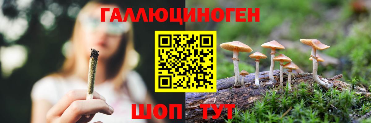 Псилоцибиновые грибы Psilocybe  купить   Можайск  Вход с VPN 
